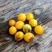 Servant Cherry Tomato