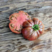 Suffer Well Beefsteak Tomato