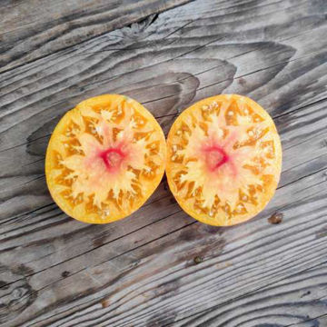 The Chauffeur Beefsteak Tomato The Chauffeur Beefsteak Tomato