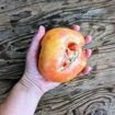 The Chauffeur Beefsteak Tomato
