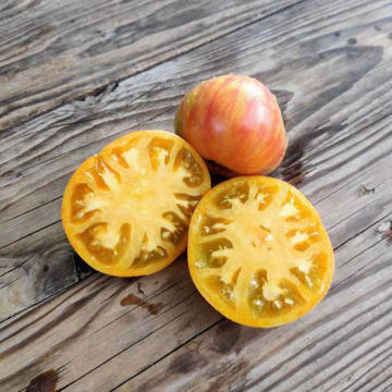 World in My Eyes Beefsteak Tomato World in My Eyes Beefsteak Tomato