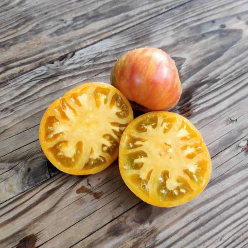 World in My Eyes Beefsteak Tomato