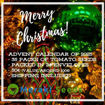 Advent Calendar of 2025