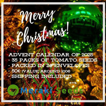 Advent Calendar of 2025 Advent Calendar of 2025