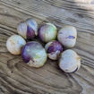 Morado Tomatillo