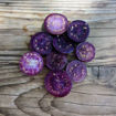 Morado Tomatillo