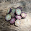 Morado Tomatillo