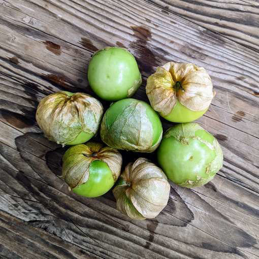 Tomatillo Toma Verde