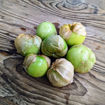 Tomatillo Toma Verde