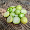 Tomatillo Toma Verde