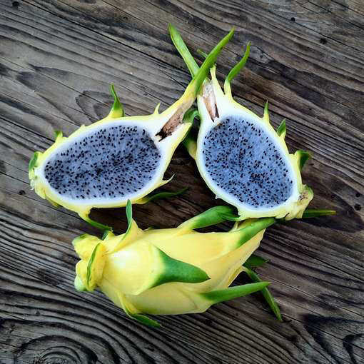 Australian Golden Dragon Fruit Seeds