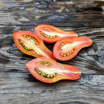 Unknown Variety 2023 Paste-Type Tomato Unknown Variety 2023 Paste-Type Tomato