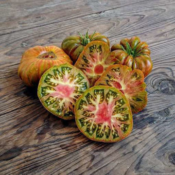 Unknown Variety Tomato Unknown Variety Tomato