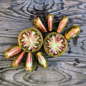 Unknown Variety 2 Tomato Unknown Variety 2 Tomato