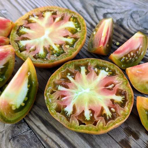 Meraki Ochre Square Tomato-Meraki Seeds