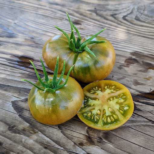Meraki Ochre Square Tomato-Meraki Seeds