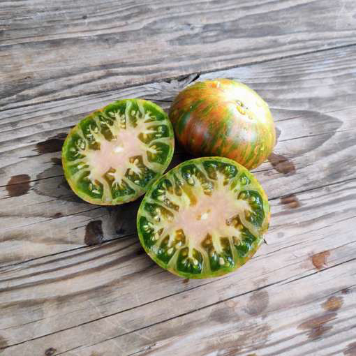 Shake the Disease Beefsteak Tomato