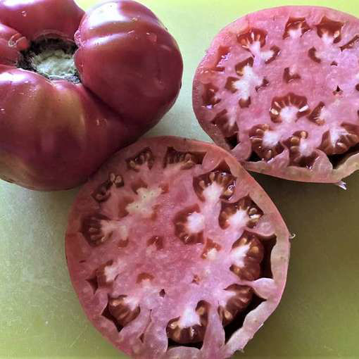 Chris Ukrainian Beefsteak Tomato