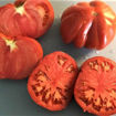 Gigante Farina Beefsteak Tomato