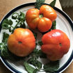 Grandma Viney's Yellow and Pink Beefsteak Tomato
