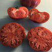 Helen’s German Beefsteak Tomato