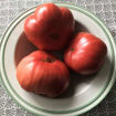 Helen’s German Beefsteak Tomato