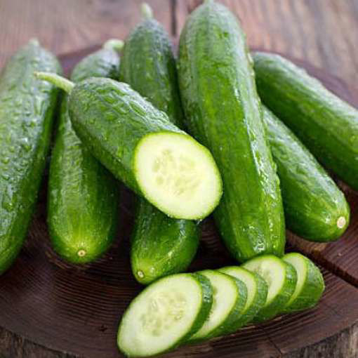 Beth Alpha Cucumber