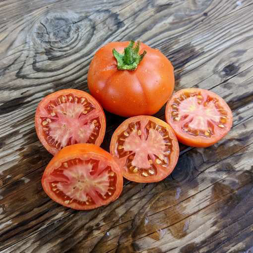 Ramallet Rodona Longkeeper Tomato