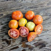Ramallet Rodona Longkeeper Tomato