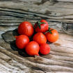 	Nina Neutron Micro Dwarf Tomato