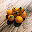 Micro Tom Gold Micro Dwarf Tomato