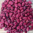 Red Calico Lima Pole Bean