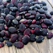 Picture of Black Star Lima Pole Bean