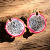 Jindu NOID Dragon Fruit Seeds