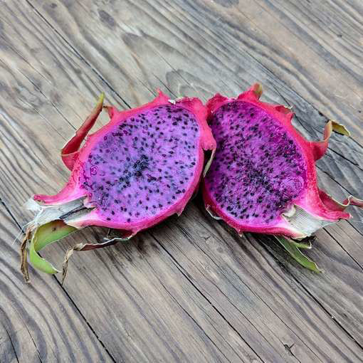 Purple Haze Dragon Fruit