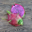 Cosmic Charlie Dragon Fruit Seeds