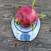 Cosmic Charlie Dragon Fruit Seeds