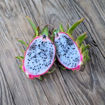 Connie Mayer Dragon Fruit Seeds