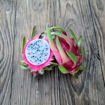 Pepino Dulce Dragon Fruit Seeds
