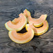 Melon Delice de la Table