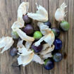 Tomatillo Mountain Pima