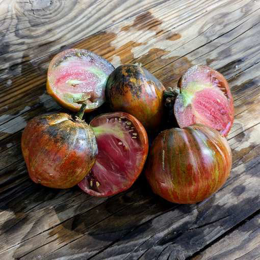 Ordinary World Tomato