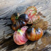 Ordinary World Tomato