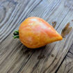 Save a Prayer Tomato