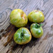 Blasphemous Rumours Beefsteak Tomato