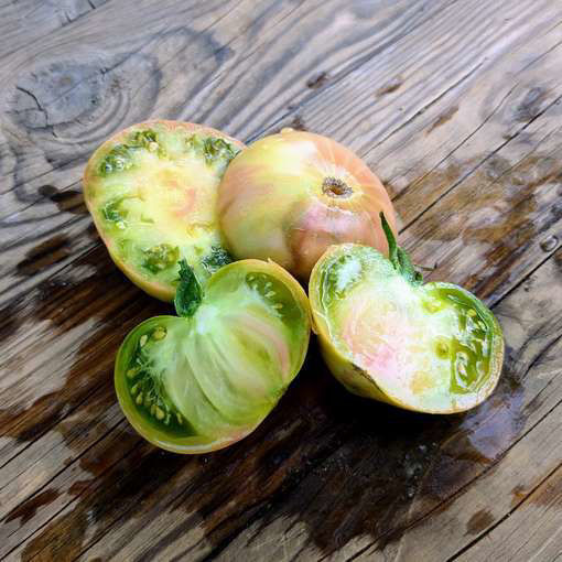 Blasphemous Rumours Beefsteak Tomato