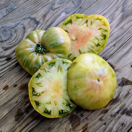 Hold Back the Rain Beefsteak Tomato