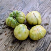 Hold Back the Rain Beefsteak Tomato