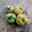 Hold Back the Rain Beefsteak Tomato