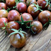 Hungry Like the Wolf Cherry Tomato